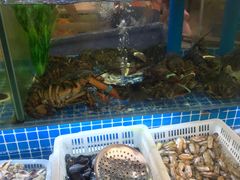 水产区-富临港·蒸汽海鲜·手抓海鲜·炒菜(栈桥店)