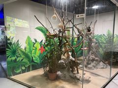 -上海大自然野生昆虫馆(东方明珠·爬宠昆虫探索中心)