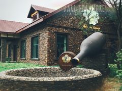 -南戴河国际娱乐中心