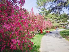 -海棠花溪(元大都城垣遗址公园)