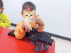 -蓝精灵创客少儿编程(百步亭中心)