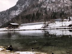 -柯尼希湖