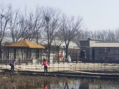 -河北村民俗体验园