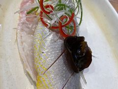 -黄寺蒸汽海鲜(黄寺大街店)
