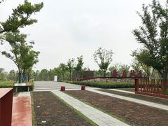 -春花秋色城市公园