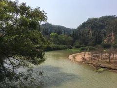 -南宁良凤江国家森林公园