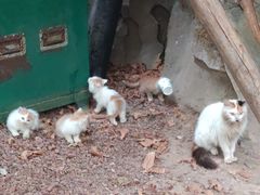 -龙达温泉生态城