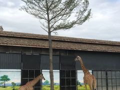 -灵玲国际马戏城