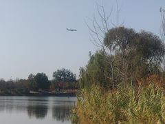-东郊湿地公园