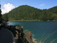 -武陵山森林公园