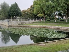 -后襄河公园