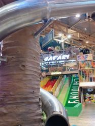 -卡通尼·Safari非洲探索乐园·生日会(金桥国际商业广场店)