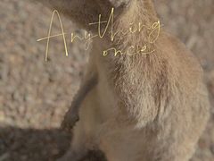 -费瑟代尔野生动物园