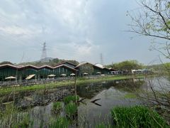 -西湖风景区-江洋畈生态公园
