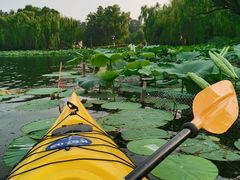 -WhaleSports户外水上运动俱乐部(朝阳公园店)