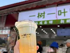 -一树一叶·福建茶档(石鼓路店)