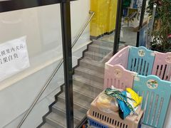 -瑞派·爱瑞可动物医院·口腔专科(广华新城分院)