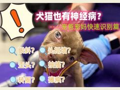 -美联众合动物医院·24h转诊中心