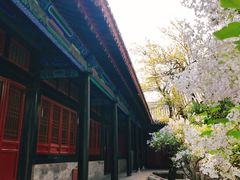 -北京国子监胡同