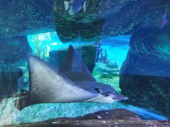 -泉城欧乐堡海洋极地世界