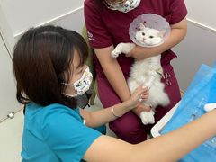 -北京恒爱动物医院(清景园分院)