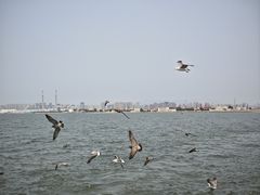 -青岛第三海水浴场