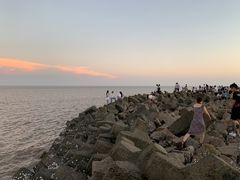 -南汇嘴观海公园