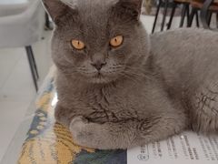 -平行世界·猫咖(首经贸店)