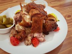 -百好乐宠物友好餐厅(朝外大街店)