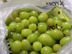 -堤口果品批发市场