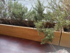 -阿嬷手作(成都万象城店)