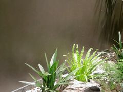 -青螺餐厅·家宴(松雅湖店)