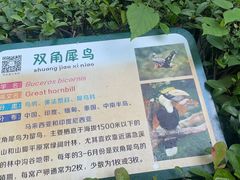-合肥野生动物园