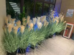 -野妹火锅(龙岗店)