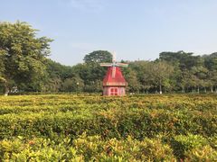 -东莞植物园