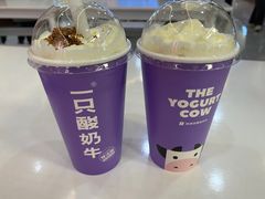 -一只酸奶牛(八一路店)