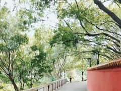 -白帝城·瞿塘峡景区