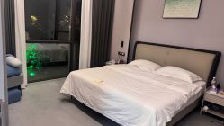 -宝生月子中心(独栋园林·福田店)