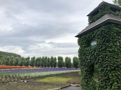 -富田农场