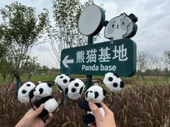 -成都大熊猫繁育研究基地