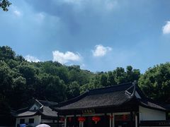 -上海佘山国家森林公园天马山园