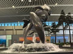 -青岛胶东国际机场