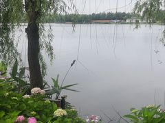 -杭州湾海上花田景区