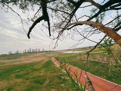 -兴安湖生态运动公园