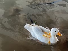 -绿堤公园