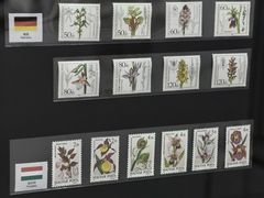 -国家植物园南园