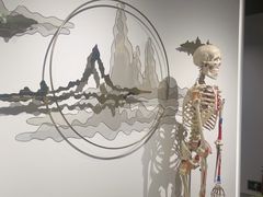 -席仁堂推拿按摩脊柱调理(世纪科贸大厦店)