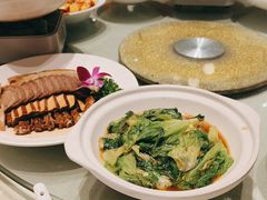 -刘胖子家常菜·蹄花焖藕(中央花园店)