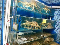 -蚝专家(北滘店)