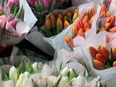 -循礼门鲜花花市(武汉循礼门店)